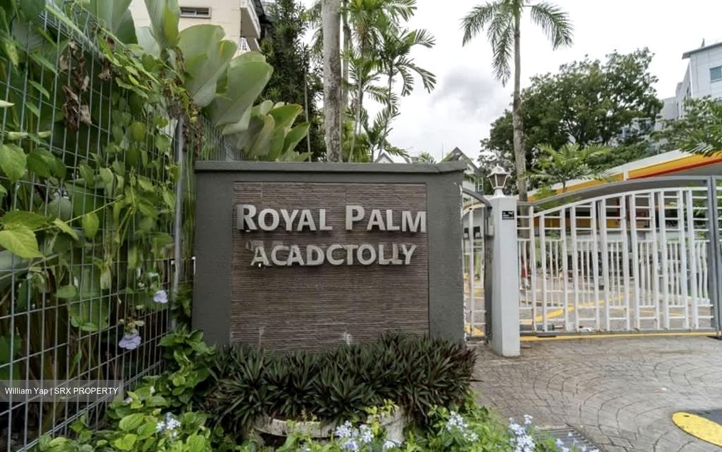 Royal Palm Mansions (D5), Condominium #557739201
